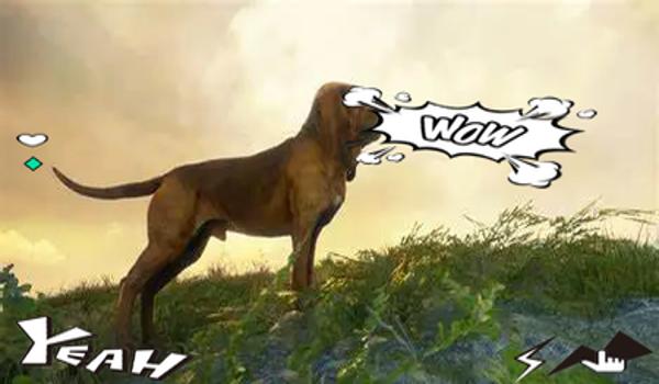 三角洲寻血猎犬 是怎么找到人的(寻血猎犬在现实中是怎么找到人的?) 三角洲寻血猎犬 是怎么找到人的(寻血猎犬在现实中是怎么找到人的?)